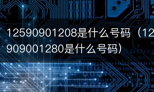 12590901208是什么号码（125909001280是什么号码）