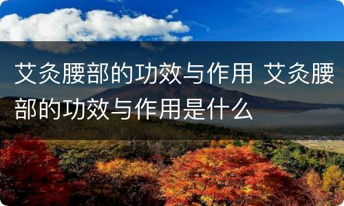 艾灸腰部的功效与作用 艾灸腰部的功效与作用是什么