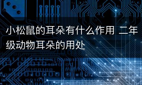 小松鼠的耳朵有什么作用 二年级动物耳朵的用处