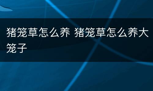 猪笼草怎么养 猪笼草怎么养大笼子