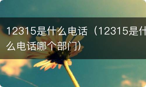 12315是什么电话（12315是什么电话哪个部门）