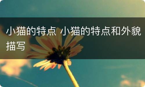 小猫的特点 小猫的特点和外貌描写