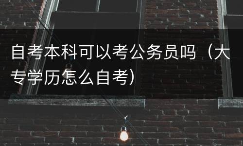 自考本科可以考公务员吗（大专学历怎么自考）