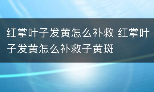 红掌叶子发黄怎么补救 红掌叶子发黄怎么补救子黄斑