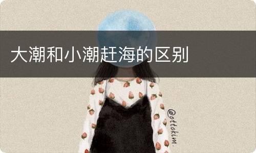 大潮和小潮赶海的区别