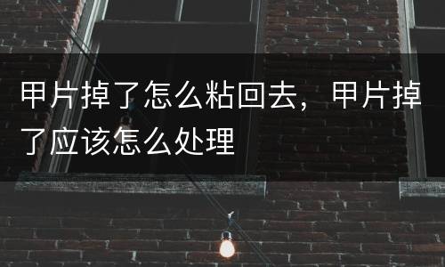 甲片掉了怎么粘回去，甲片掉了应该怎么处理