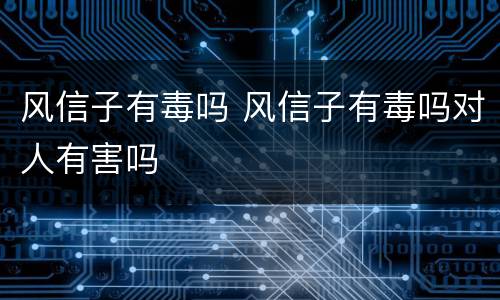 风信子有毒吗 风信子有毒吗对人有害吗
