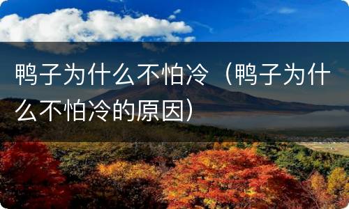 鸭子为什么不怕冷（鸭子为什么不怕冷的原因）