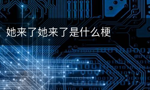 她来了她来了是什么梗