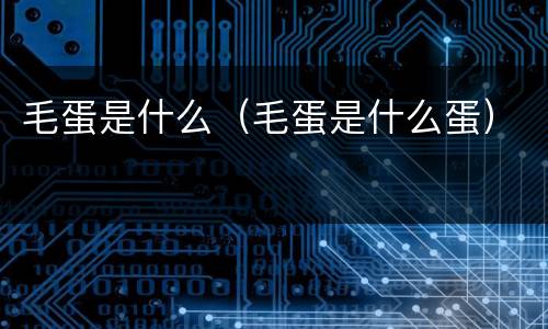 毛蛋是什么（毛蛋是什么蛋）