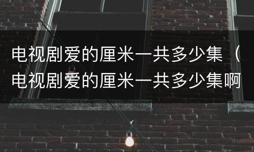 电视剧爱的厘米一共多少集（电视剧爱的厘米一共多少集啊）