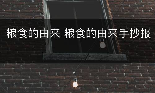 粮食的由来 粮食的由来手抄报