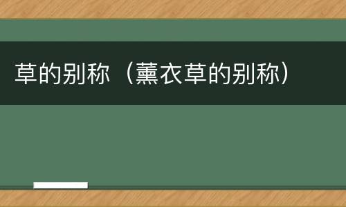 草的别称（薰衣草的别称）