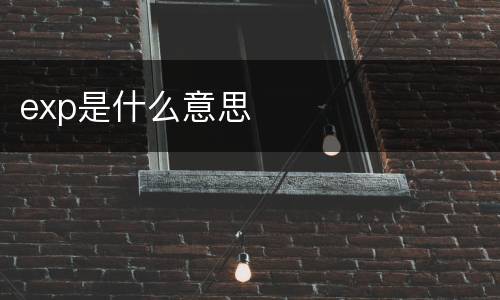 exp是什么意思