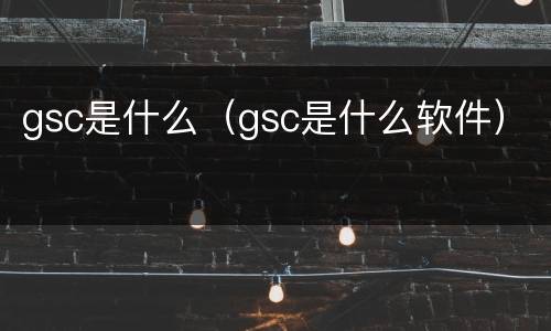 gsc是什么（gsc是什么软件）