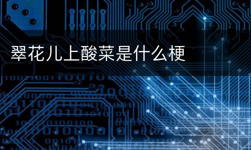 翠花儿上酸菜是什么梗