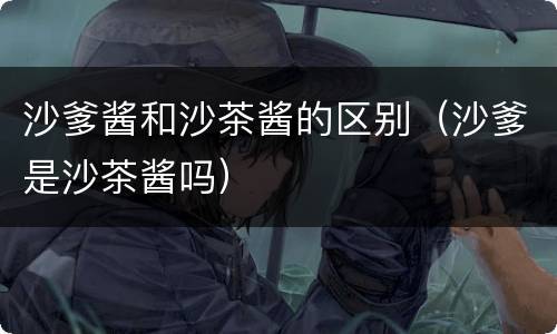 沙爹酱和沙茶酱的区别（沙爹是沙茶酱吗）