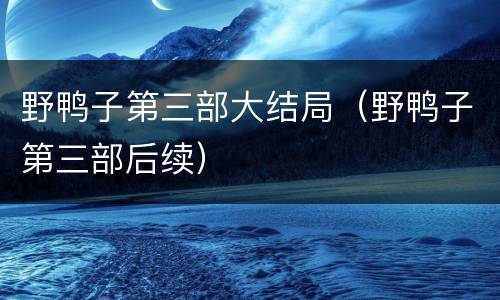 野鸭子第三部大结局（野鸭子第三部后续）