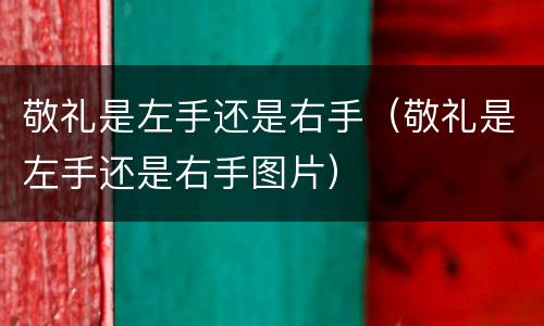 敬礼是左手还是右手（敬礼是左手还是右手图片）