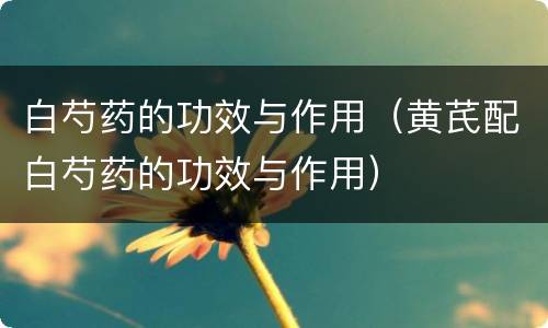 白芍药的功效与作用（黄芪配白芍药的功效与作用）