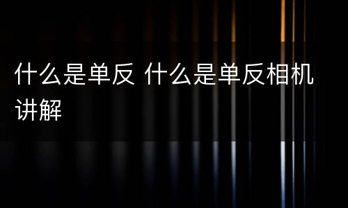 什么是单反 什么是单反相机 讲解