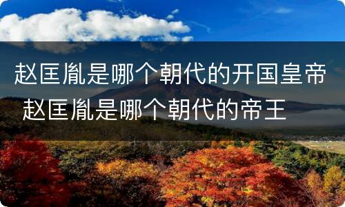 赵匡胤是哪个朝代的开国皇帝 赵匡胤是哪个朝代的帝王