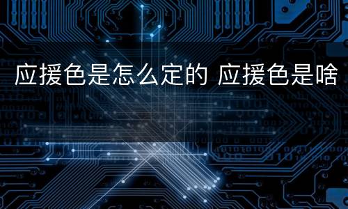 应援色是怎么定的 应援色是啥