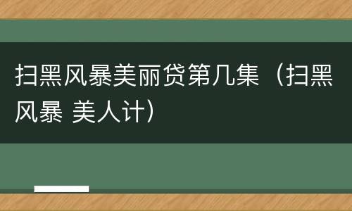扫黑风暴美丽贷第几集（扫黑风暴 美人计）