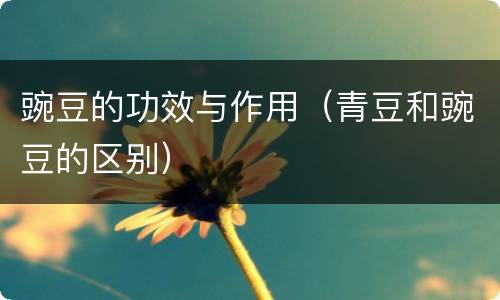 豌豆的功效与作用（青豆和豌豆的区别）