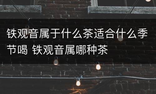 铁观音属于什么茶适合什么季节喝 铁观音属哪种茶