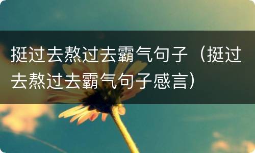 挺过去熬过去霸气句子（挺过去熬过去霸气句子感言）