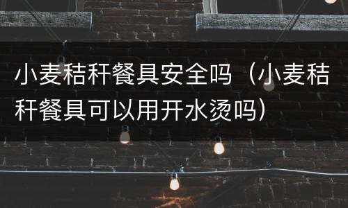 小麦秸秆餐具安全吗(小麦秸秆餐具可以用开水烫吗) 小麦秸秆餐具安全吗(小麦秸秆餐具可以用开水烫吗)