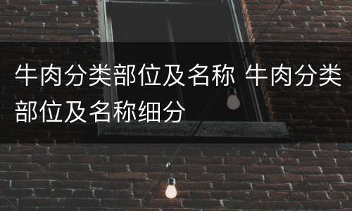 牛肉分类部位及名称 牛肉分类部位及名称细分