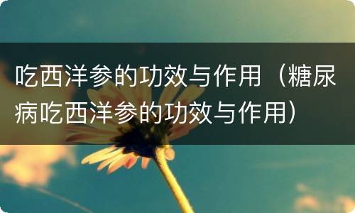 吃西洋参的功效与作用（糖尿病吃西洋参的功效与作用）