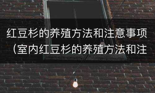 红豆杉的养殖方法和注意事项（室内红豆杉的养殖方法和注意事项）