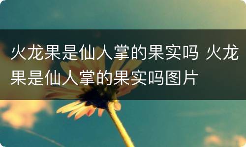 火龙果是仙人掌的果实吗 火龙果是仙人掌的果实吗图片