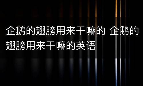 企鹅的翅膀用来干嘛的 企鹅的翅膀用来干嘛的英语