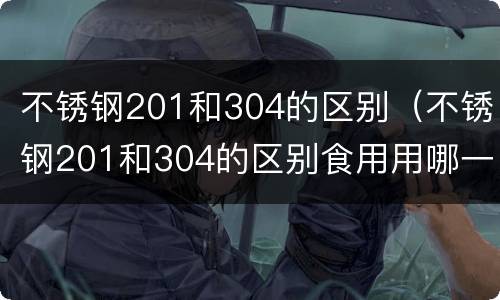 不锈钢201和304的区别（不锈钢201和304的区别食用用哪一种钢好呀）