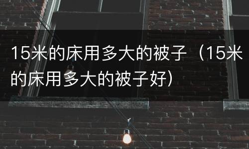 15米的床用多大的被子（15米的床用多大的被子好）