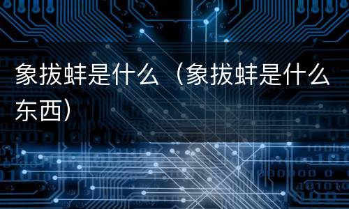 象拔蚌是什么（象拔蚌是什么东西）