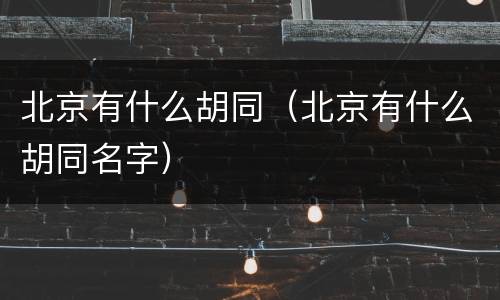 北京有什么胡同（北京有什么胡同名字）