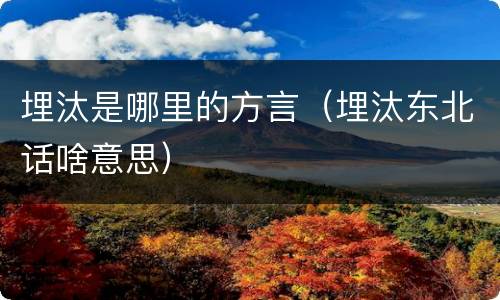 埋汰是哪里的方言（埋汰东北话啥意思）