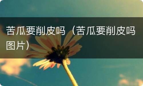 苦瓜要削皮吗（苦瓜要削皮吗图片）