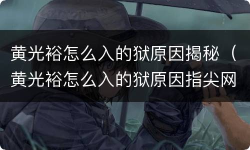 黄光裕怎么入的狱原因揭秘（黄光裕怎么入的狱原因指尖网）