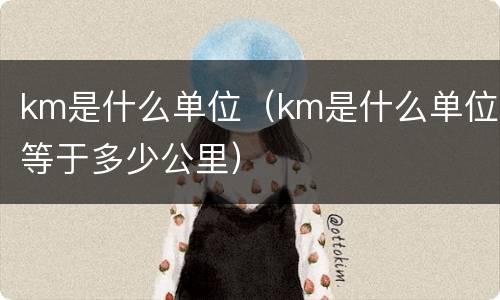 km是什么单位（km是什么单位等于多少公里）
