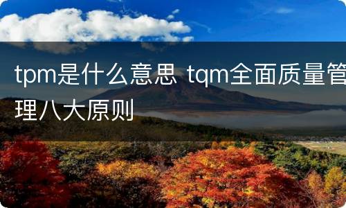 tpm是什么意思 tqm全面质量管理八大原则