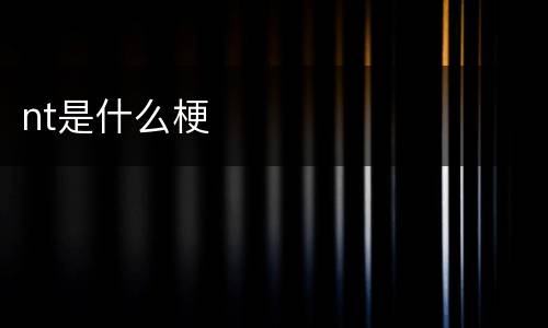 nt是什么梗