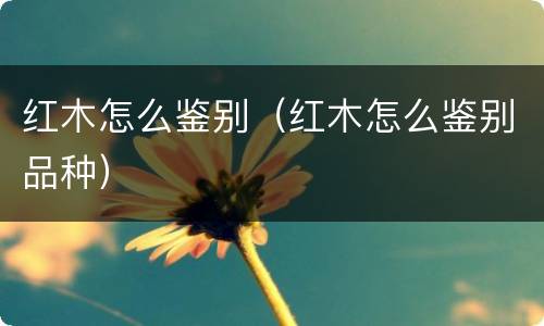 红木怎么鉴别（红木怎么鉴别品种）
