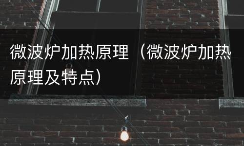 微波炉加热原理（微波炉加热原理及特点）