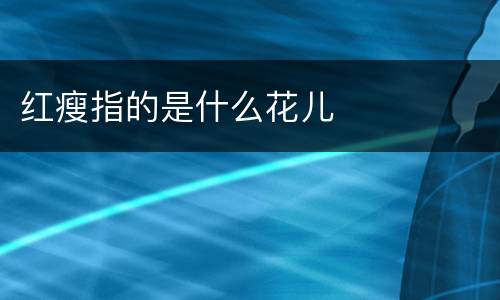 红瘦指的是什么花儿